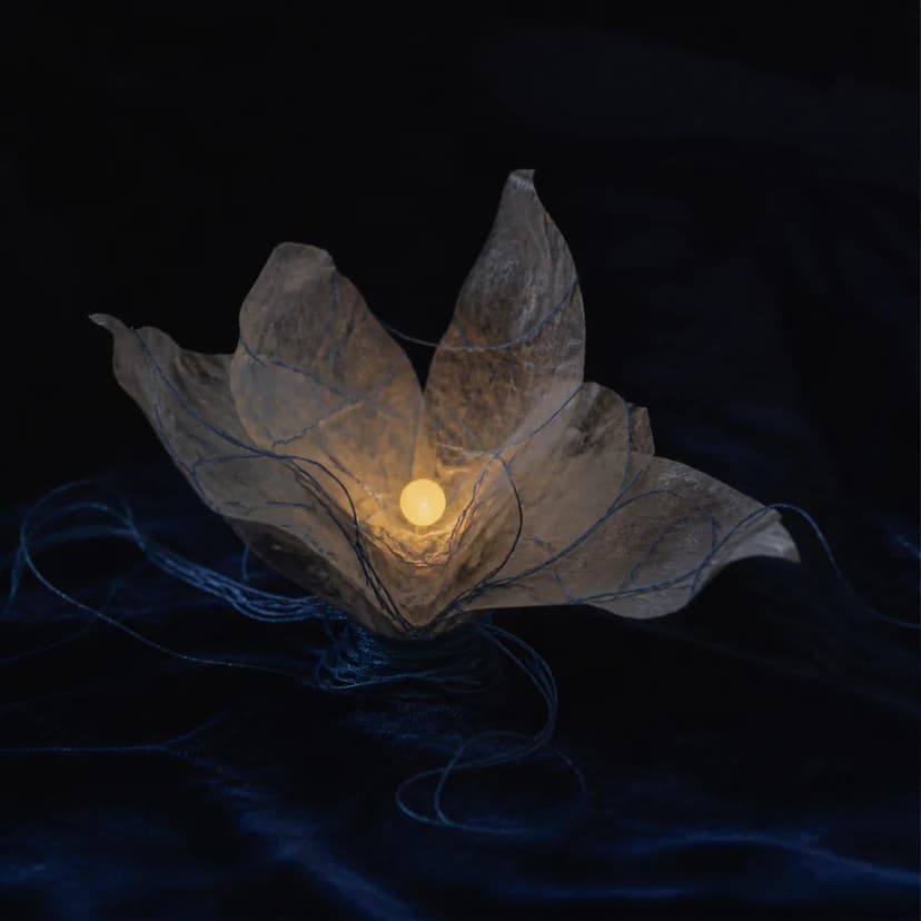 Night Bloom — Studio Study fictional release artwork